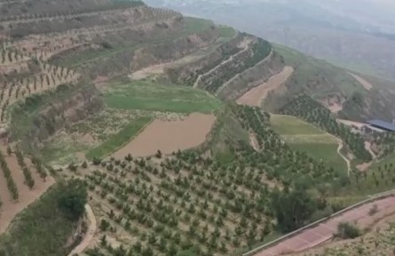 甘肅蘭州：荒山變果園 蜜桃掛滿(mǎn)枝