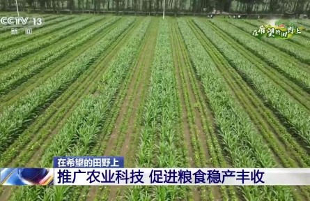 數(shù)字信息采集、肥水一體化自動(dòng)灌溉……這些智慧農(nóng)業(yè)設(shè)施幫助農(nóng)民抗旱保豐收