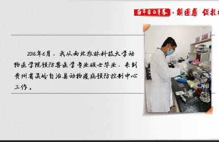 鄒勇：碩士畢業(yè)后，我在小山村里當(dāng)“牛倌”