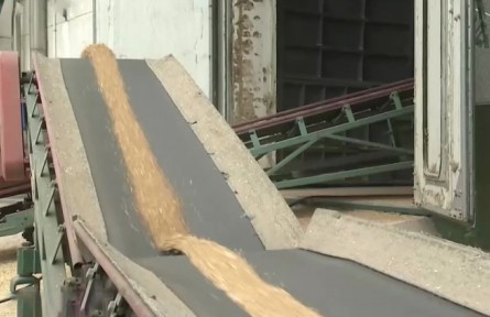 中儲糧：早秈稻輪換收購已完成7成