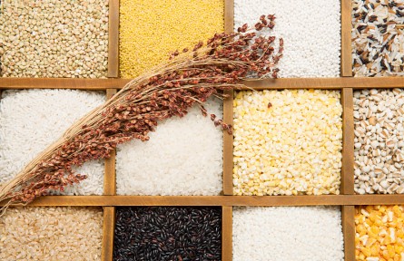 ?辟謠 | 粗糧就是“全谷物”？要看是否經(jīng)過精細(xì)化加工