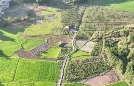 各地多措并舉抗高溫保民生