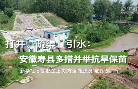 打井、疏渠、引水：安徽壽縣多措并舉抗旱保苗