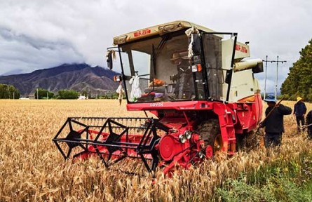 落實(shí)落細(xì)關(guān)鍵舉措 筑牢秋糧穩(wěn)產(chǎn)基礎(chǔ)