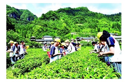 “耕”以強(qiáng)體，“讀”以潤心——我國耕讀教育開展情況調(diào)研報告