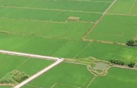 精準(zhǔn)施策 力促秋糧穩(wěn)產(chǎn)豐收