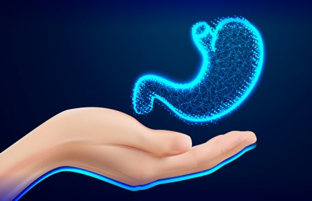 胃越撐越大、越餓越小是真的嗎？