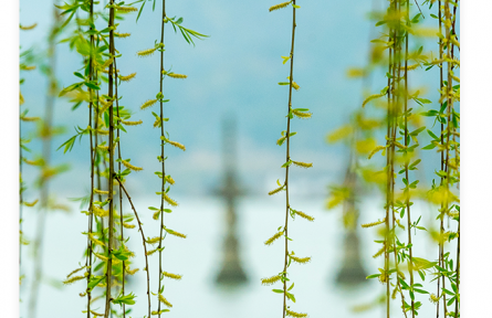 名言 | 荀子：善學者盡其理，善行者究其難