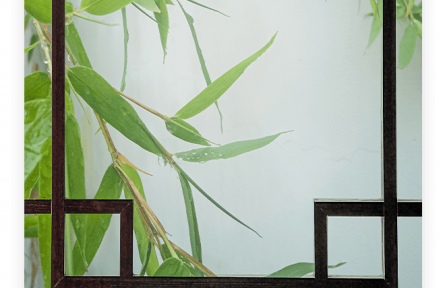 名言 | 孔子：君子成人之美，不成人之惡