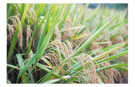 基礎(chǔ)研究：激發(fā)創(chuàng)新不竭動(dòng)力