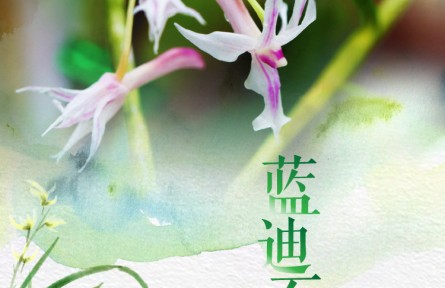 物種故事 | 藍(lán)迪石斛：優(yōu)雅可人 稍縱即逝