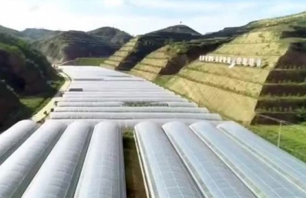 陜西綏德縣郝家橋村：牢記囑托 向“第三個楷?！眾^進