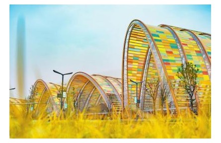 豐收節(jié)，來了！