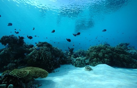 科技名詞 | 海洋質子磁力儀