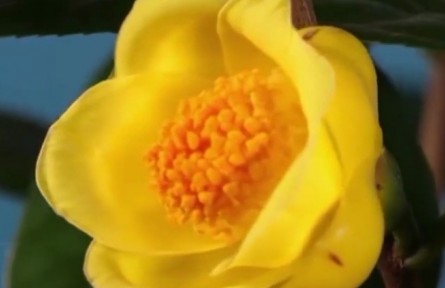 廣西：促進(jìn)生物多樣性保護(hù) 建設(shè)萬物和諧共生家園