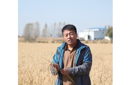 2022年度“全國十佳農(nóng)民”肖建波：黑土地上追逐“禾下乘涼夢(mèng)”