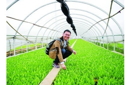 果蔬育種師：陪果蔬一起成長(zhǎng)的青春，甜甜的