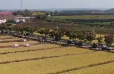 【在希望的田野上】我國秋糧大面積開鐮收獲