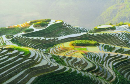 廣西·龍脊梯田