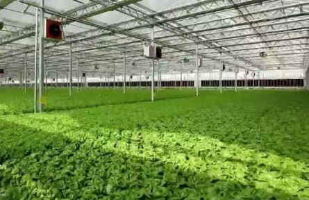 山東：培育高素質農(nóng)民 助力鄉(xiāng)村振興