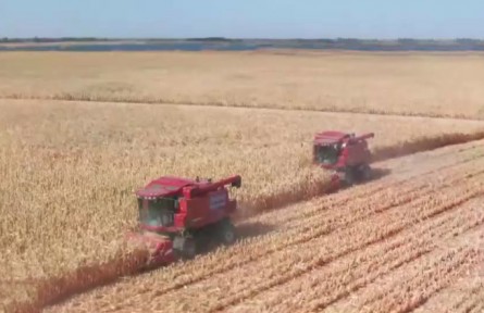 內(nèi)蒙古河套灌區(qū)秋收進(jìn)入收尾階段 確保顆粒歸倉(cāng)