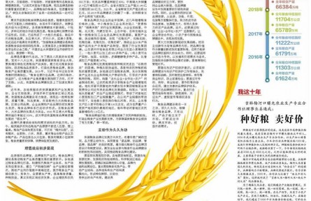 加速品牌化建設(shè)，推動糧食產(chǎn)業(yè)高質(zhì)量發(fā)展