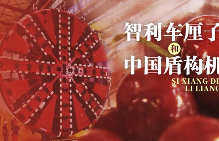 思想的力量 | 智利車?yán)遄雍椭袊軜?gòu)機(jī)