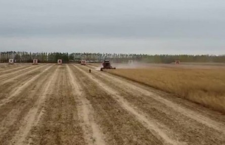 黑龍江：大豆成熟時(shí)節(jié) 農(nóng)戶(hù)緊張采收