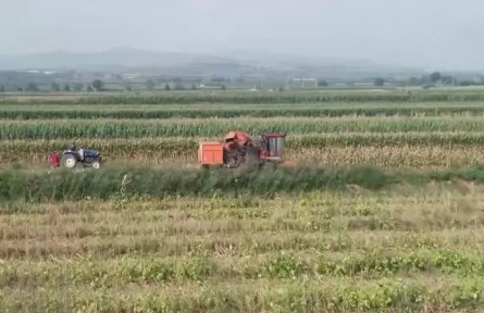 山西翼城：玉米套大豆 一地雙豐收