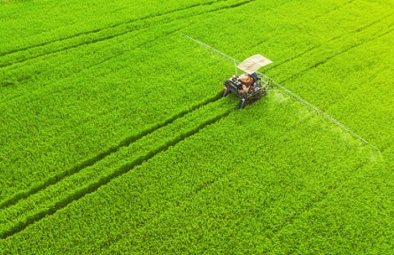 非凡十年，中國(guó)農(nóng)業(yè)生機(jī)勃勃