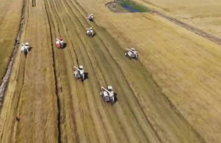 全國2022年秋糧已收獲9.88億畝