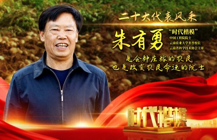 二十大代表朱有勇：是會種莊稼的農(nóng)民 也是改變農(nóng)民命運(yùn)的院士