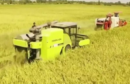 【在希望的田野上】搶抓農(nóng)時(shí)忙秋收 確保顆粒皆歸倉