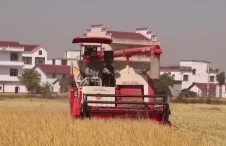 【在希望的田野上】各地加速推進(jìn)秋收 秋冬種同步展開