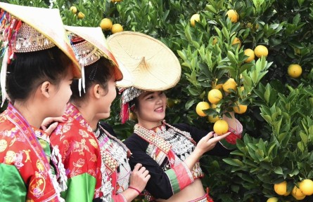 田園詩畫映云嶺——云南抓黨建促鄉(xiāng)村振興紀(jì)實(shí)