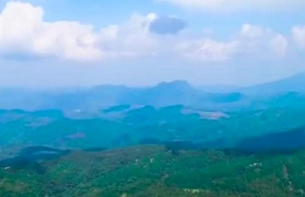 海南：心懷“國之大者” 高水平高質(zhì)量建設(shè)海南熱帶雨林國家公園