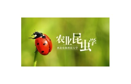 《農業(yè)昆蟲學》系列講座（視頻，共22講）