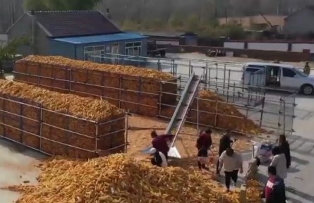 吉林：科學(xué)儲糧 讓農(nóng)民豐產(chǎn)更豐收