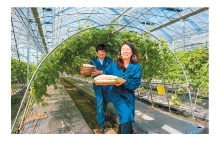 推進鄉(xiāng)村振興 邁向共同富裕——二十大代表談學(xué)習(xí)貫徹黨的二十大精神