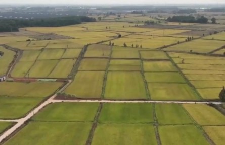 我國加快推進(jìn)高標(biāo)準(zhǔn)農(nóng)田建設(shè)