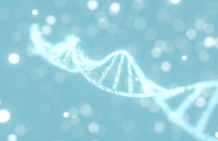 科技名詞 | 長壽基因 longevity genes