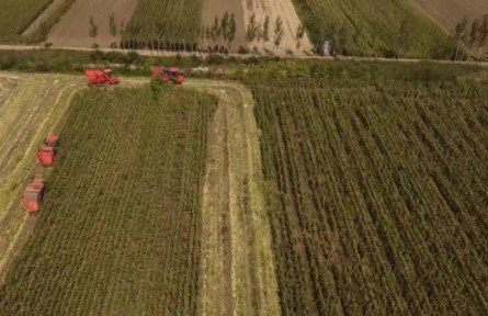 山東高密：13.5萬(wàn)畝托管大田，塊塊都有“專(zhuān)職保姆”