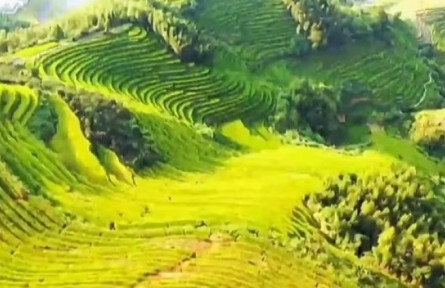 江西崇義：世界灌溉工程遺產(chǎn)上堡梯田