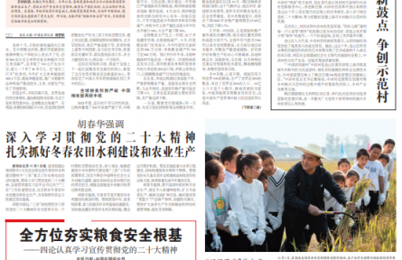 全球糧食減產(chǎn)背景下，中國為何能取得秋糧豐收？