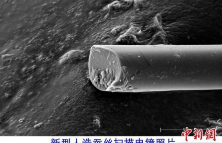 超強人造蠶絲在天津大學(xué)誕生