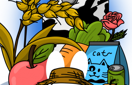 第五屆進博會有啥亮點？