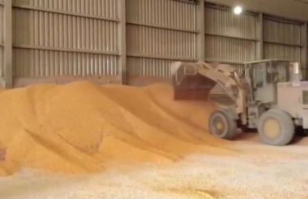 黑龍江：便捷賣糧 顆粒歸倉