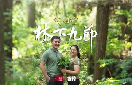 林更綠，民更富！老兵化作“新農(nóng)人”，賦能粵北南嶺林下生態(tài)富民路