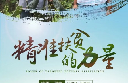 雙語紀錄片|《精準扶貧的力量》②：菖蒲塘村 種上水果心不慌