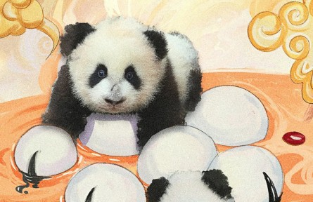 【今日立冬】萬(wàn)物收藏 冬之伊始